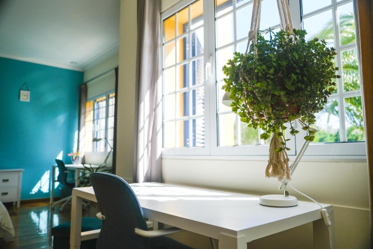 Lava Acores Coliving & Coworking Ribeira Grande Esterno foto