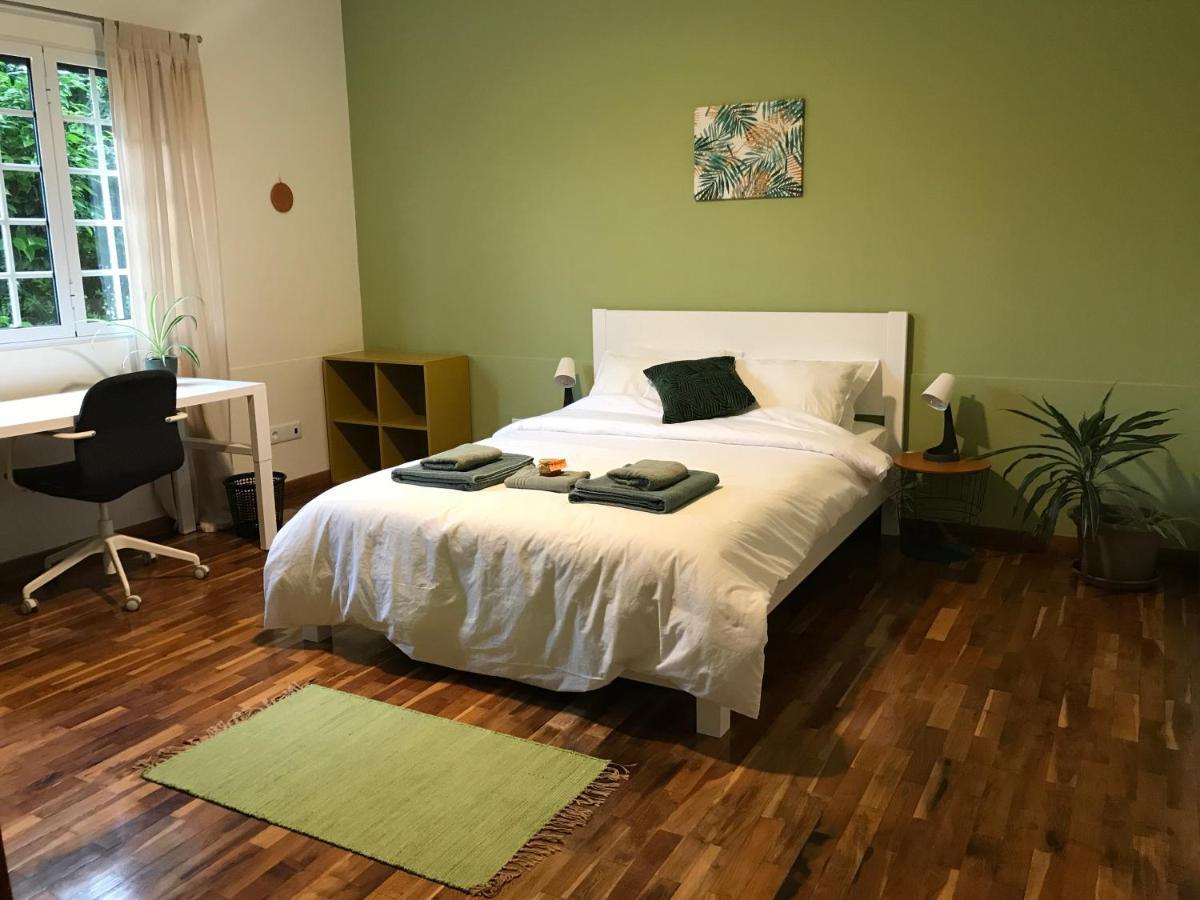 Lava Acores Coliving & Coworking Ribeira Grande Esterno foto
